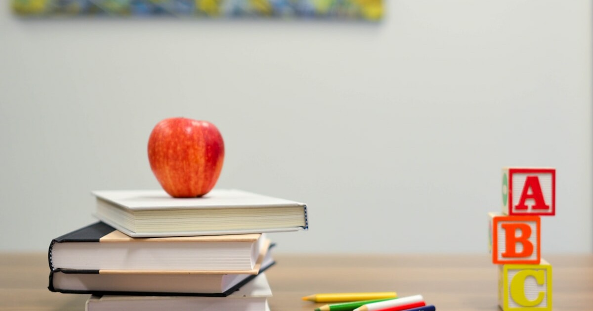 Pedagoglarga davlat xizmatlarida 50 foiz chegirma beriladi